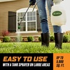 image:imageOrtho WeedClear Lawn Weed Killer ReadytoUse 1 gal1Pack