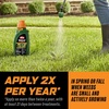 image:imageOrtho WeedClear Lawn Weed Killer ReadytoUse 1 gal1Pack