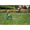 image:imageOrtho WeedClear Lawn Weed Killer ReadytoUse 1 gal2Pack