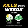 image:imageOrtho WeedClear Weed Killer for Lawns with Comfort Wand 1 galConcentrate