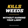 image:imageOrtho WeedClear Weed Killer for Lawns with Comfort Wand 1 galReady to Use 2pack