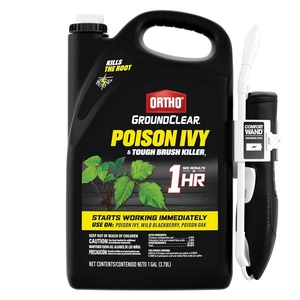 image:imageOrtho GroundClear Poison Ivy and Tough Brush Killer1  Weed Killer Concentrate Kills Poison Ivy and Poison Oak to the Root  32 fl oz1 gal