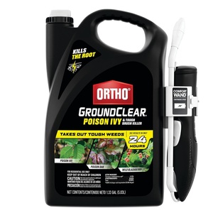 image:imageOrtho GroundClear Poison Ivy and Tough Brush Killer1  Weed Killer Concentrate Kills Poison Ivy and Poison Oak to the Root  32 fl oz133 gal