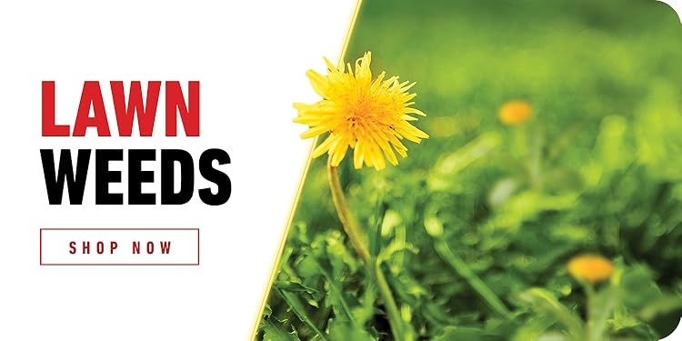Ortho｜Home Defense Insect Killer,Effective Weed And Insect Control,Pro‑Grade Outdoor Pest Management