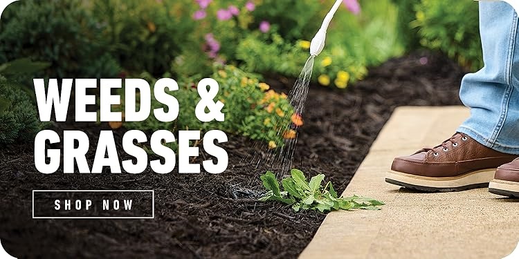 Ortho｜Home Defense Insect Killer,Effective Weed And Insect Control,Pro‑Grade Outdoor Pest Management
