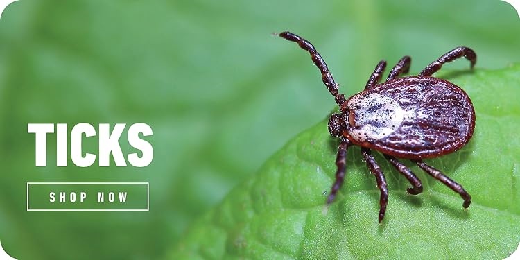 Ortho｜Home Defense Insect Killer,Effective Weed And Insect Control,Pro‑Grade Outdoor Pest Management