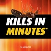image:imageOrtho Ant Killer