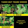image:imageOrtho GroundClear Poison Ivy amp Tough Brush Killer2 32 fl oz