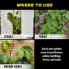 image:imageOrtho GroundClear Poison Ivy amp Tough Brush Killer2 32 fl oz
