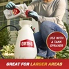 image:imageOrtho Home Defense Insect Killer for Indoor amp Perimeter Concentrate 32 oz