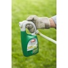 image:imageOrtho Nutsedge Killer for Lawns ReadyToSpray 32 fl oz 6Pack